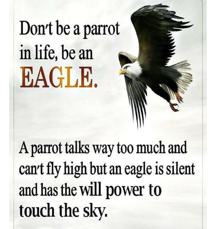 DON'T BE A PARROT IN LIFE, BE AN EAGLE