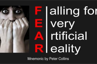FEAR - Falling for Every Artificial Reality